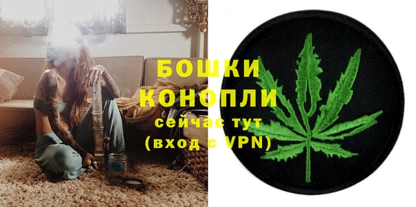 ГАЛЛЮЦИНОГЕННЫЕ ГРИБЫ Кукмор