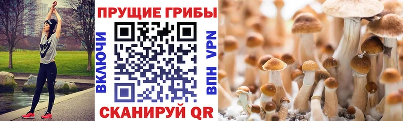 Галлюциногенные грибы ЛСД  купить   ссылка на мегу зеркало  Лангепас 